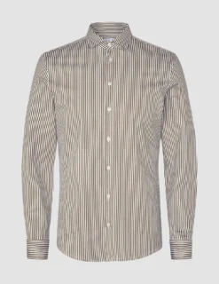 Classic Shirt Shadow Brown Stripe Regular