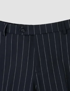 Essential Suit Pants Regular Navy Stripes
